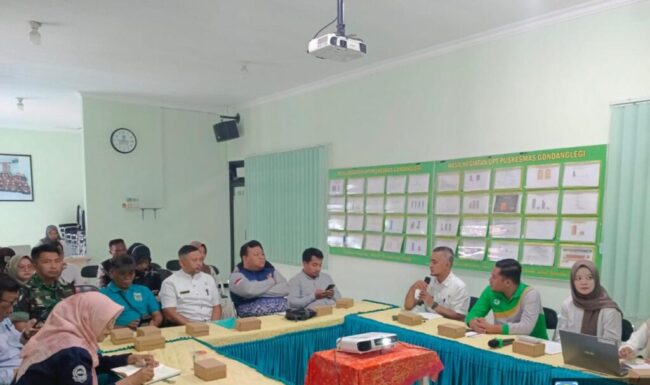 IMG-20241230-WA0010