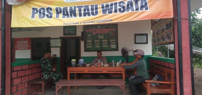 IMG-20241231-WA0105