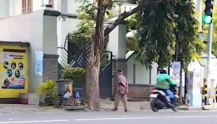 IMG-20250213-WA0001(1)