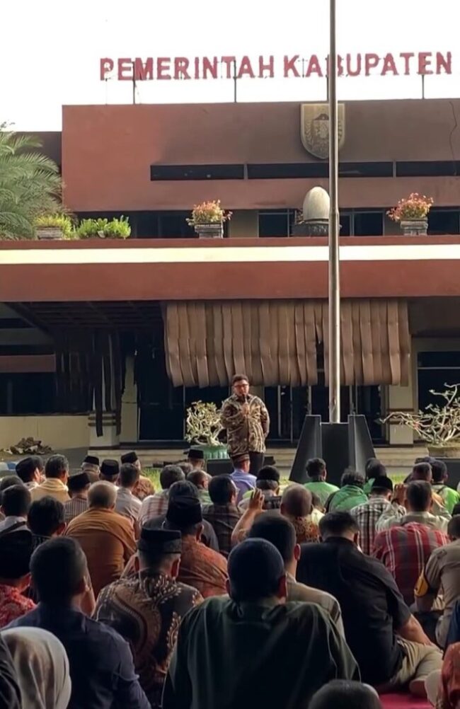 1000525157-1-664x1024