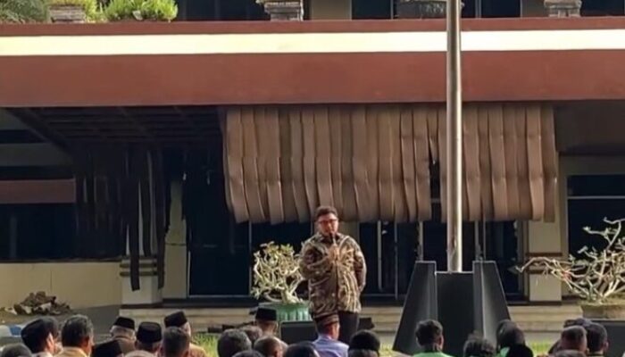 1000525157-1-664x1024