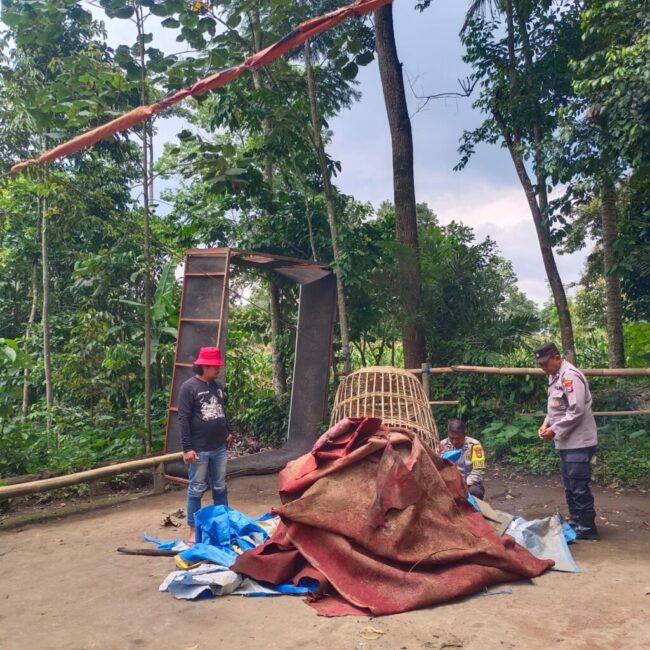 IMG-20260207-WA0012(1)