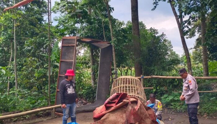 IMG-20260207-WA0012(1)