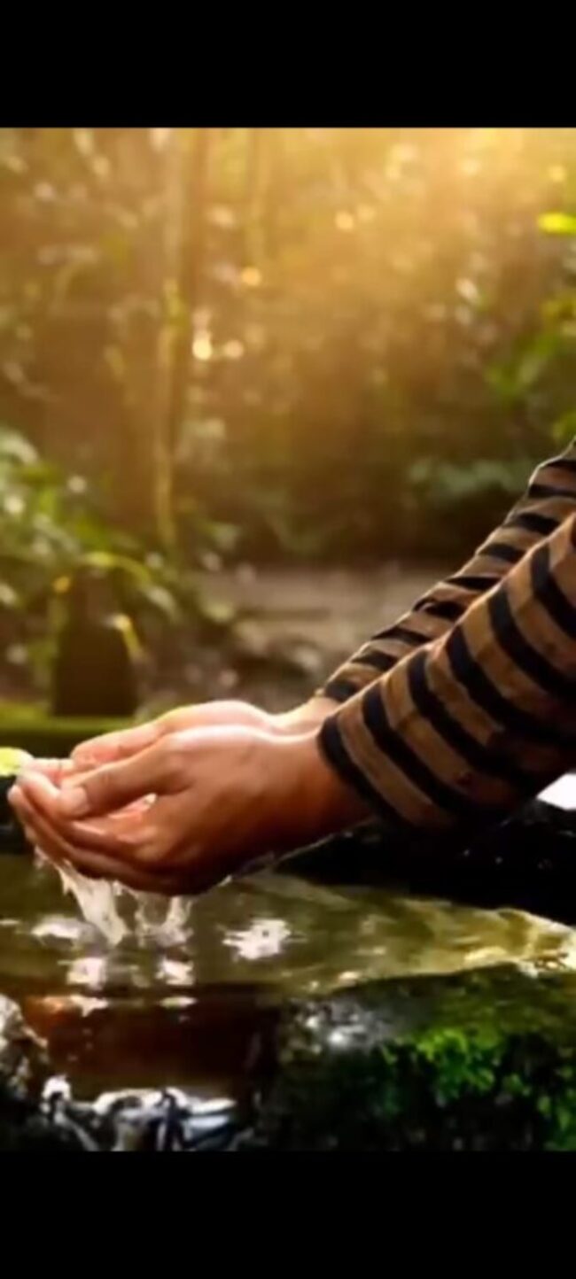 IMG-20260214-WA0007(1)