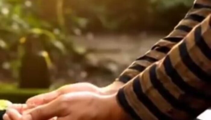 IMG-20260214-WA0007(1)