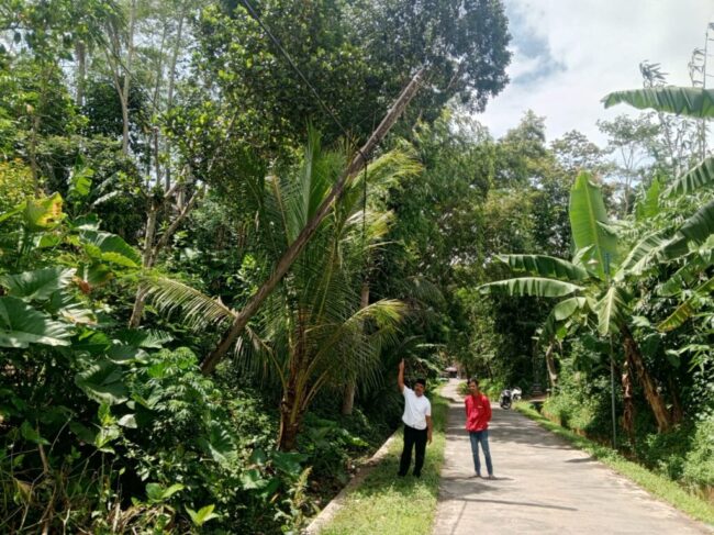 Tiang listrik miring di Desa Karangsari Kecamatan Bantur Kabupaten Malang yang dikeluhkan warga karena berpotensi membahayakan keselamatan.