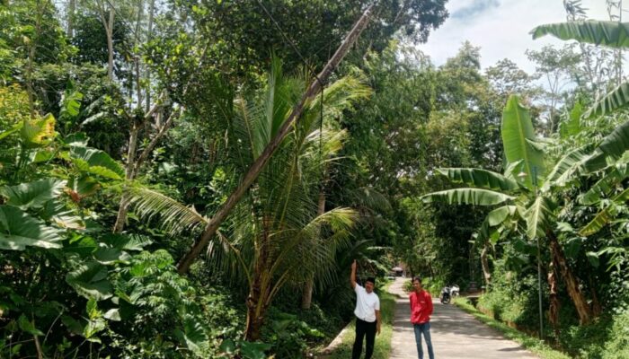 Tiang listrik miring di Desa Karangsari Kecamatan Bantur Kabupaten Malang yang dikeluhkan warga karena berpotensi membahayakan keselamatan.