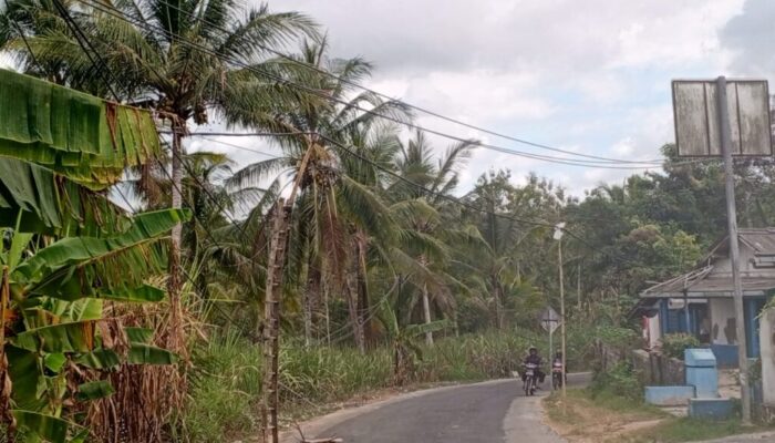 IMG-20260723-WA0100