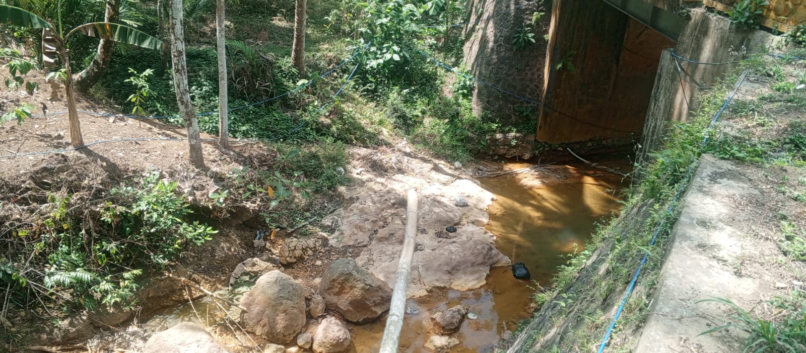 IMG-20260814-WA0006